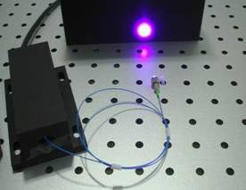 405nm 600mW 蓝紫色光纤耦合激光器 带电源